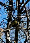     
: IMG_3198.jpg
: 23
:	112.5 
ID:	13602971