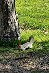     
: IMG_3200.jpg
: 19
:	163.8 
ID:	13602972
