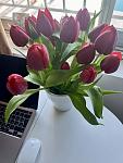     
: IMG_1664.jpg
: 10
:	52.0 
ID:	13603181