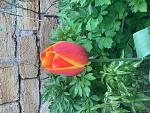     
: IMG_0842.jpg
: 22
:	163.3 
ID:	13603335