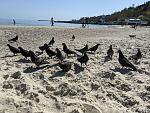    
: IMG_20240410_223113_316.jpg
: 7
:	168.4 
ID:	13603613