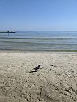     
: IMG_20240410_223117_204.jpg
: 7
:	112.7 
ID:	13603614