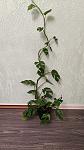     
: IMG_20231108_113429.jpg
: 15
:	128.0 
ID:	13603639