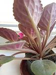     
: IMG20240412175745.jpg
: 85
:	78.3 
ID:	13603710