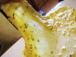     
: IMG_9744.jpg
: 12
:	139.9 
ID:	13603744