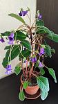     
: IMG_20240413_092928.jpg
: 19
:	108.8 
ID:	13604021
