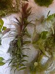     
: photo_2024-04-26_20-38-05.jpg
: 27
:	98.5 
ID:	13604596