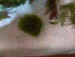     
: photo_2024-04-26_20-38-28.jpg
: 34
:	170.1 
ID:	13604598