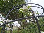     
: IMG_20220529_121820_1 (3).jpg
: 16
:	244.7 
ID:	13604865