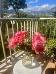     
: IMG_2297.jpg
: 11
:	74.9 
ID:	13604900