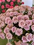     
: 7d52e635-0151-4b6c-9915-263d344cd489.jpg
: 10
:	86.7 
ID:	13605220