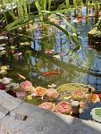    
: 14c56590-b734-49da-9686-ab0d3dcc5e65.jpg
: 7
:	79.5 
ID:	13605222