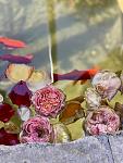     
: c00cf058-4e2e-4453-8879-b42674dcdd56.jpg
: 8
:	62.1 
ID:	13605223