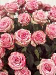     
: 11350352-c2d1-4897-a141-f9491c296495.jpg
: 8
:	79.4 
ID:	13605224