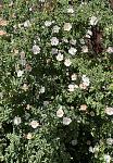     
: IMG_3519.jpg
: 14
:	147.8 
ID:	13605274