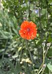     
: IMG_3576.jpg
: 11
:	53.6 
ID:	13605277