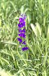     
: IMG_3554.jpg
: 8
:	75.0 
ID:	13605280
