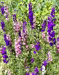     
: IMG_3545.jpg
: 9
:	172.8 
ID:	13605281