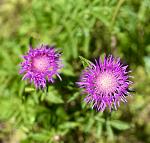    
: IMG_3539.jpg
: 14
:	71.9 
ID:	13605283