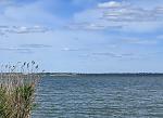     
: IMG_3597.jpg
: 10
:	103.2 
ID:	13605287