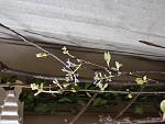     
: IMG_20240518_144633.jpg
: 16
:	125.1 
ID:	13605528