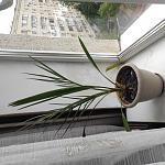     
: IMG_20240518_163238.jpg
: 5
:	140.5 
ID:	13605535
