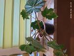     
: IMG_20240524_202302.jpg
: 6
:	117.2 
ID:	13605829