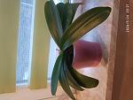     
: IMG_20240524_202109.jpg
: 11
:	106.8 
ID:	13605831