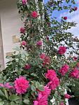     
: 0-02-05-cad247a2bb15aa912ef5b7abfbd3bcfdbf69bf799f3ff23d55e59ab915c7655c_e90e1dc8addd2799.jpg
: 18
:	174.4 
ID:	13606084