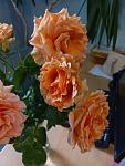     
: _viber_2024-05-31_10-47-34-924.jpg
: 6
:	73.5 
ID:	13606115