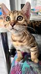     
: photo_2024-06-06_17-55-56 (2).jpg
: 15
:	69.4 
ID:	13606448