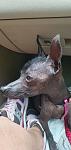    
: msg477939070-23523.jpg
: 18
:	60.2 
ID:	13606631