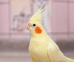     
: 25eg3bp2q0qve2dsnljn1ink8bxuoqgc.jpg
: 3
:	19.4 
ID:	13606755