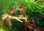     
: IMG_20221212_135112_1.jpg
: 7
:	58.0 
ID:	13606824
