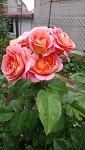     
: DSC_5699.JPG
: 32
:	95.7 
ID:	13607181