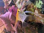     
: IMG_0575.jpg
: 10
:	165.6 
ID:	13607219