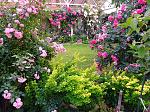     
: IMG_20240610_202809.jpg
: 34
:	304.6 
ID:	13607353