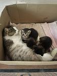     
: IMG_0063.jpg
: 16
:	51.1 
ID:	13607530