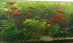     
: IMG_20240720_102437_cr.jpg
: 6
:	174.6 
ID:	13608127