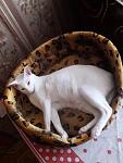     
: IMG_20240722_225451_264.jpg
: 41
:	78.9 
ID:	13608254