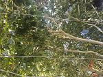     
: IMG_20240812_101557.jpg
: 34
:	304.8 
ID:	13609076