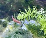     
: IMG_4809.jpg
: 8
:	110.8 
ID:	13609482