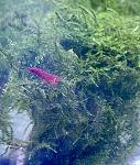     
: IMG_4812.jpg
: 11
:	92.0 
ID:	13609483