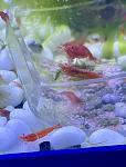     
: IMG_4807.jpg
: 9
:	51.4 
ID:	13609484