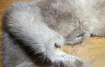     
: IMG_20240825_224218_063.jpg
: 13
:	283.0 
ID:	13609587