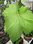     
: IMG_20240825_185622480.jpg
: 14
:	83.4 
ID:	13609690
