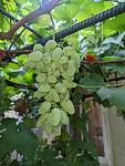     
: IMG_20240825_185554353.jpg
: 29
:	83.0 
ID:	13609692