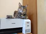     
: IMG_20240729_091148745.jpg
: 9
:	76.5 
ID:	13609809