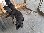     
: 20240907_163644.jpg
: 24
:	140.6 
ID:	13610017