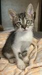     
: IMG_5549.jpg
: 14
:	46.8 
ID:	13610028